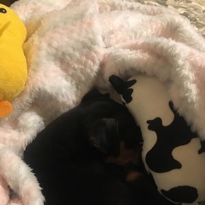 Meet your Posher, Christine